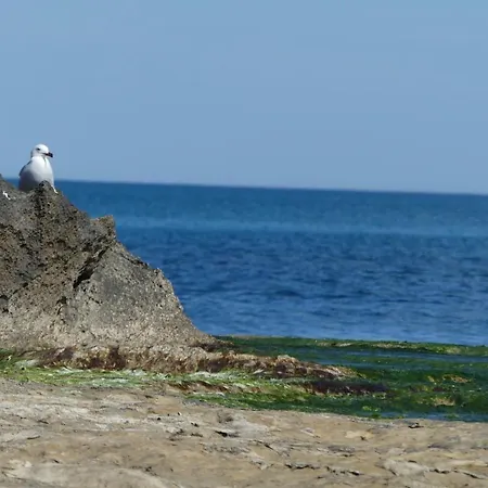 Appartamento Vistas Al Mar Cabo Cervera Costa Blanca Torrevieja