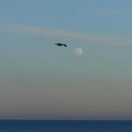 Appartamento Vistas Al Mar Cabo Cervera Costa Blanca Torrevieja